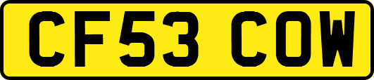 CF53COW