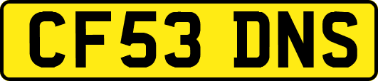 CF53DNS