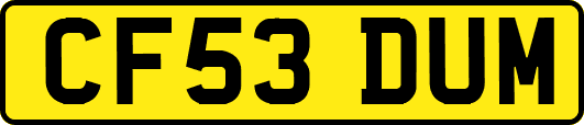 CF53DUM