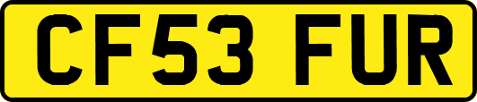 CF53FUR