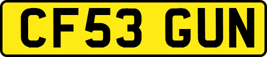 CF53GUN