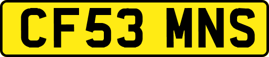 CF53MNS