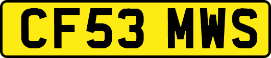 CF53MWS