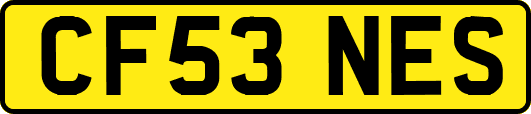 CF53NES