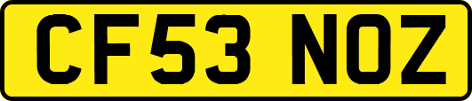 CF53NOZ