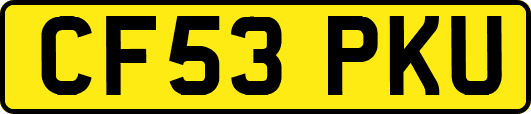 CF53PKU