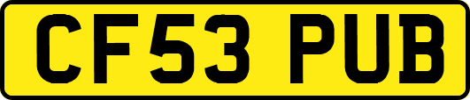 CF53PUB
