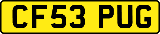 CF53PUG