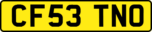 CF53TNO