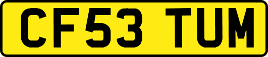 CF53TUM
