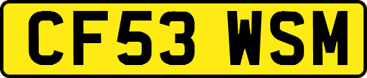 CF53WSM