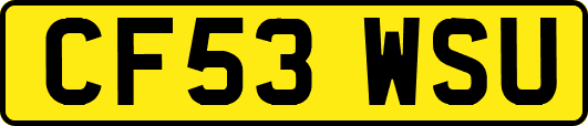 CF53WSU