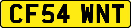 CF54WNT