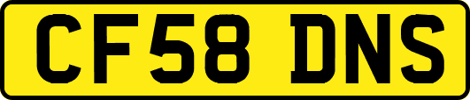 CF58DNS