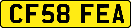 CF58FEA