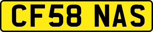 CF58NAS
