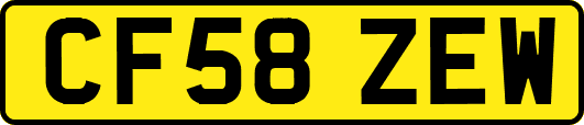 CF58ZEW