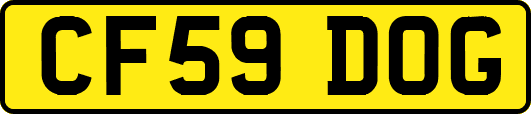 CF59DOG