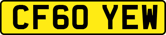 CF60YEW