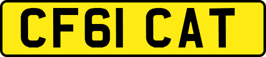 CF61CAT