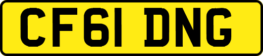 CF61DNG