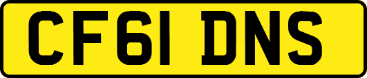 CF61DNS