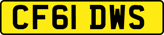 CF61DWS