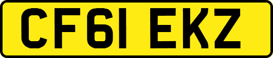 CF61EKZ