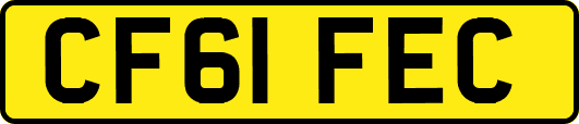 CF61FEC