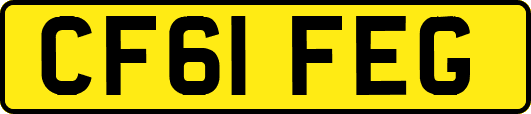 CF61FEG