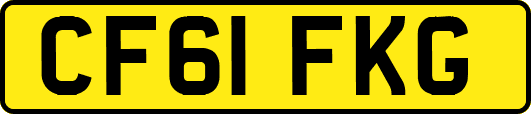 CF61FKG