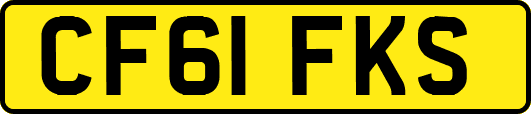CF61FKS