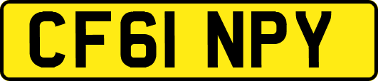 CF61NPY
