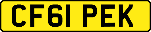 CF61PEK