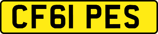 CF61PES