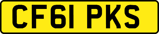 CF61PKS
