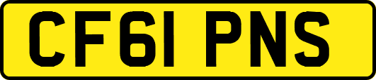 CF61PNS