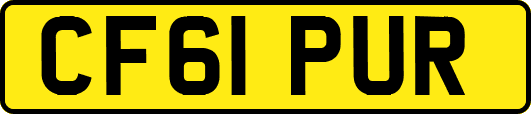 CF61PUR
