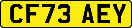 CF73AEY