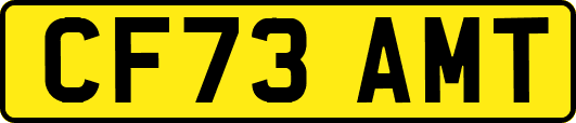 CF73AMT