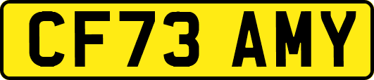 CF73AMY