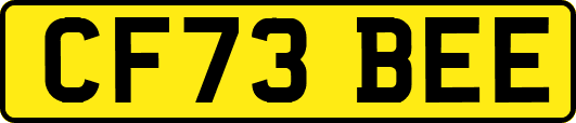 CF73BEE
