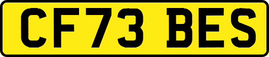 CF73BES