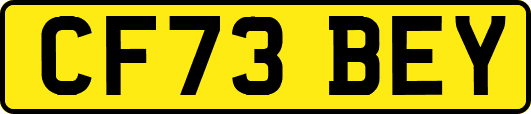 CF73BEY