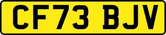 CF73BJV