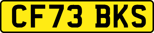 CF73BKS
