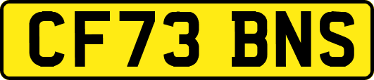 CF73BNS