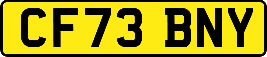 CF73BNY