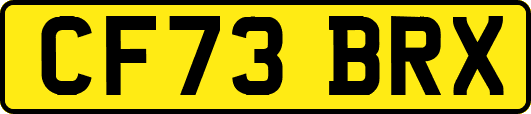 CF73BRX