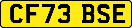 CF73BSE